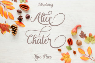 Alice Chater: A Bold Script Font for Modern Branding
