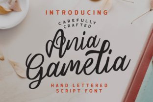 Ania Gamelia: A Script Handwritten Font for Modern Web Design