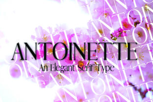Antoinette: A Serif Font That Elevates Every Handmade Project
