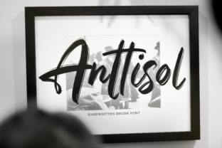 Anttisol: A Bold Handwritten Font for Creative Crafters and Product Makers