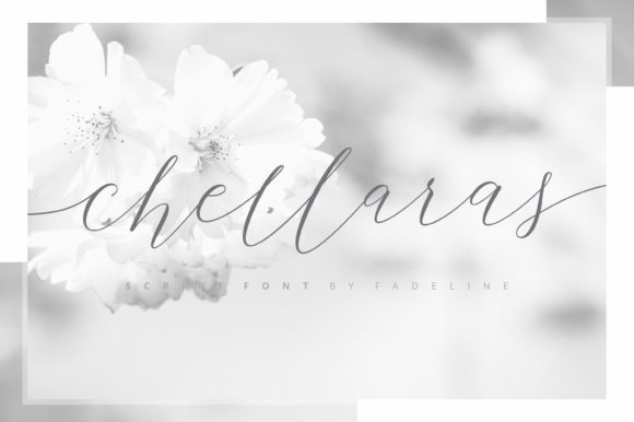 Chellaras: The Font That Elevates Your Brand’s Visual Identity